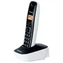 Panasonic KX-TG1611GW Teléfono Inalámbrico DECT Blanco
